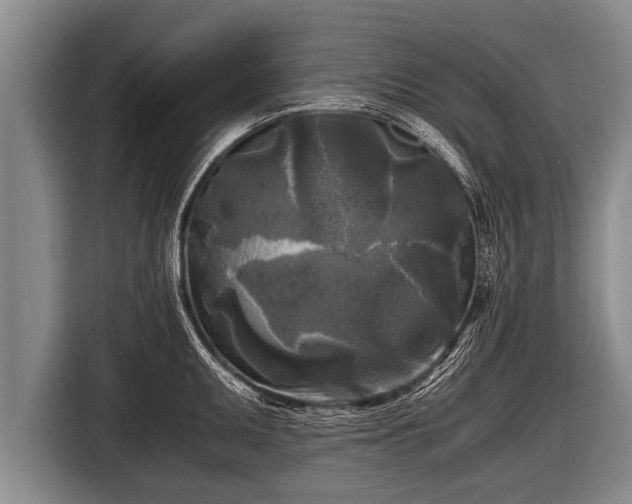 X0000116801095200912241156