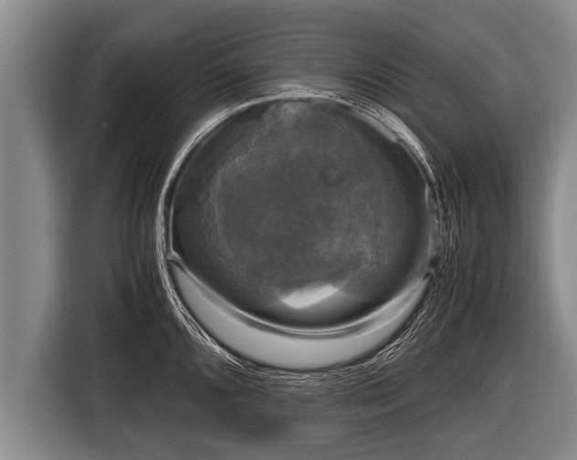 X0000116801096200912241156