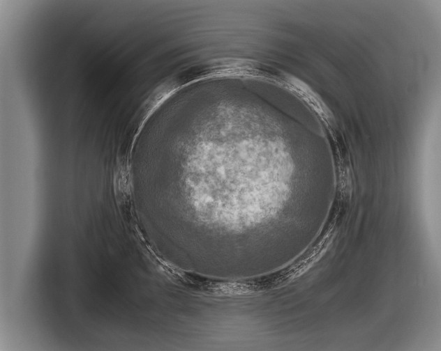 X0000116801097200912241156