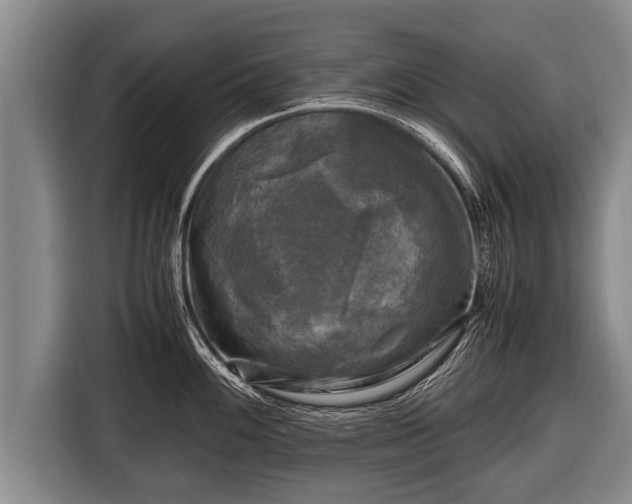 X0000116801100200912241156