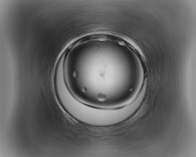 X0000116801101200912241156