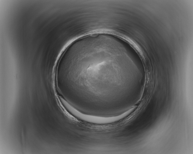 X0000116801102200912241156