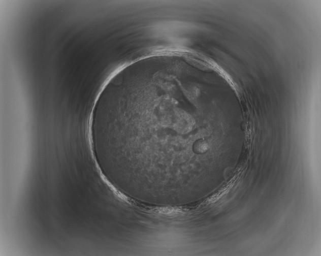 X0000116801103200912241156