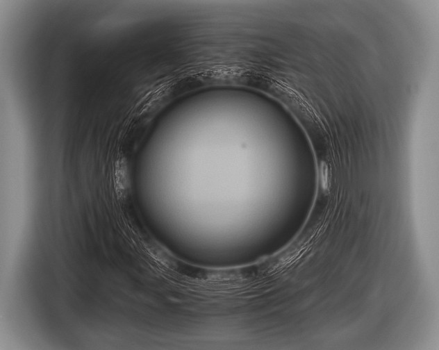 X0000116801107200912241156