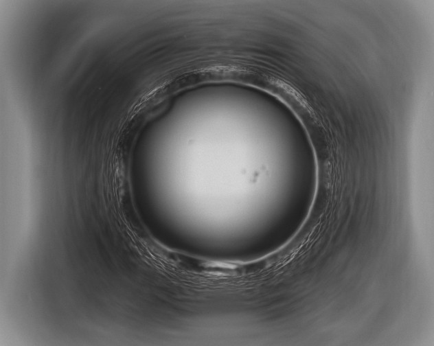 X0000116801111200912241156