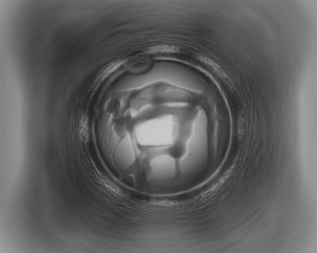 X0000116801113200912241156