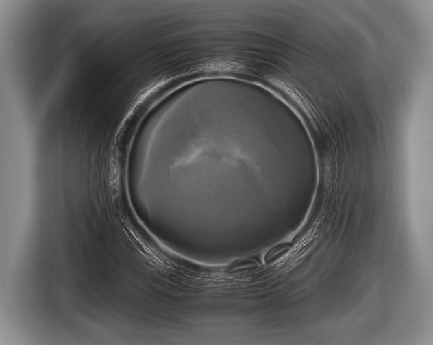 X0000116801115200912241156