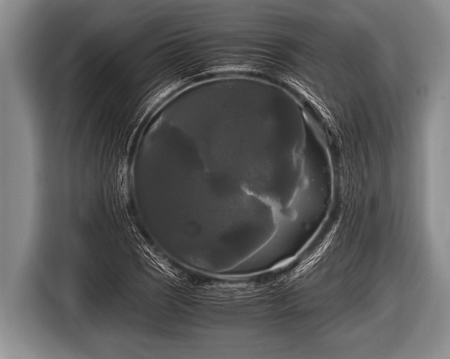 X0000116801121200912241156