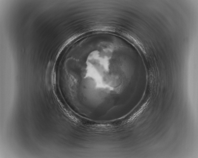 X0000116801125200912241156