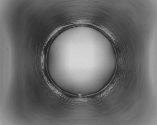 X0000116801126200912241156