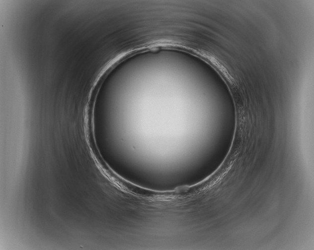 X0000116801134200912241156