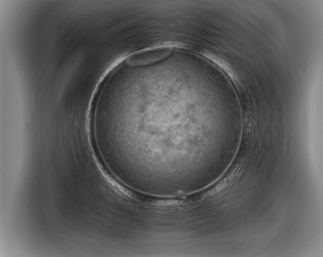 X0000116801135200912241156