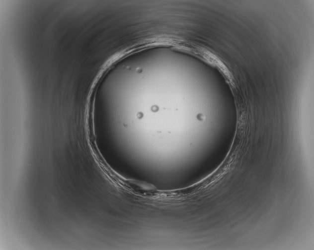 X0000116801146200912241156