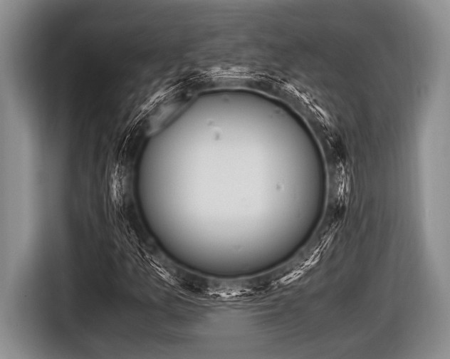 X0000116801157200912241155