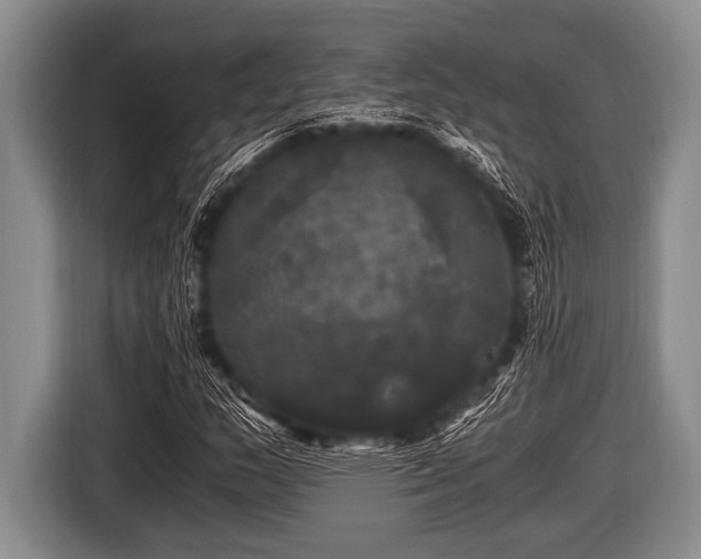 X0000116801159200912241155