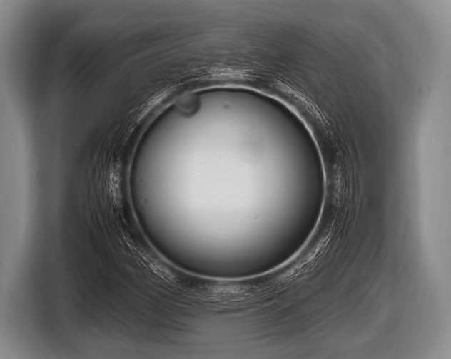 X0000116801162200912241155