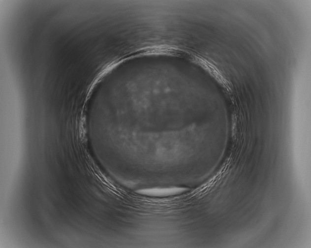 X0000116801164200912241155