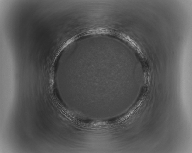 X0000116801165200912241155