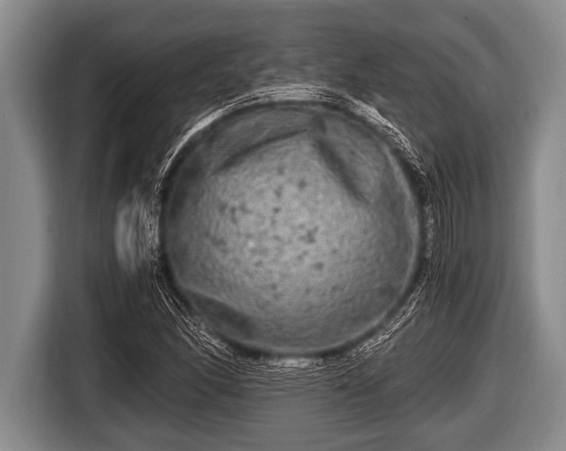 X0000116801166200912241155