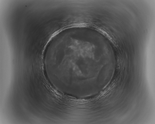 X0000116801168200912241155