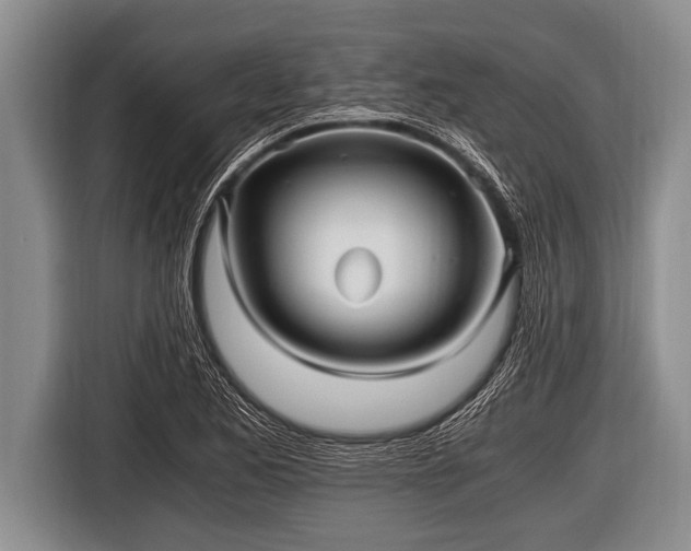 X0000116801173200912241155