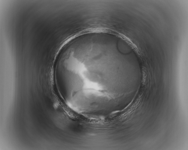 X0000116801174200912241155