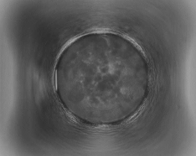 X0000116801175200912241155