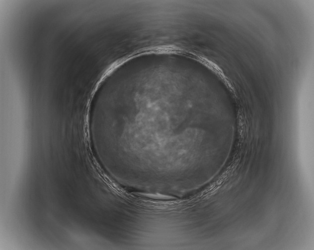 X0000116801176200912241155