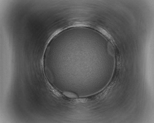 X0000116801181200912241155