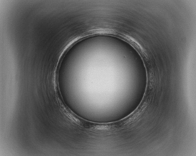 X0000116801182200912241155