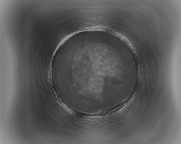 X0000116801184200912241155