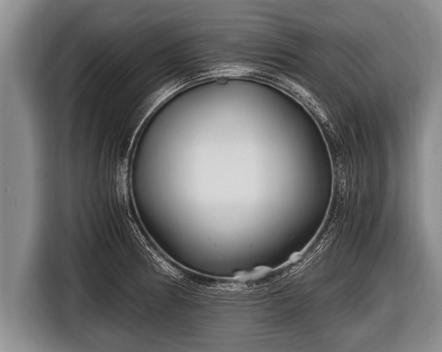 X0000116801186200912241155