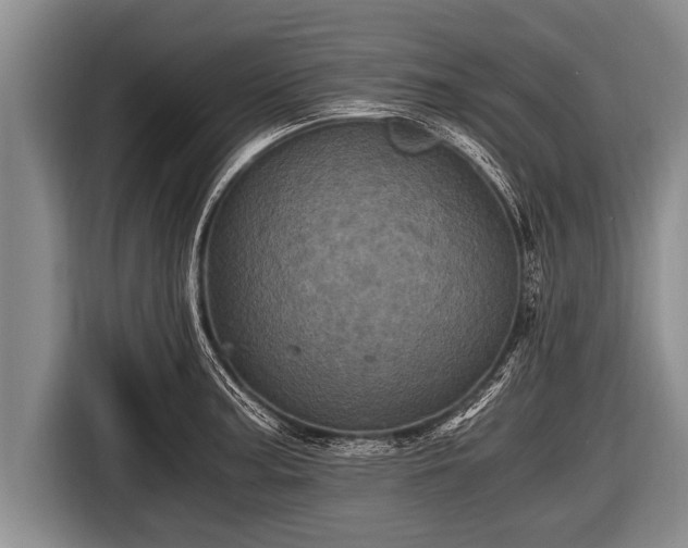 X0000116801187200912241155