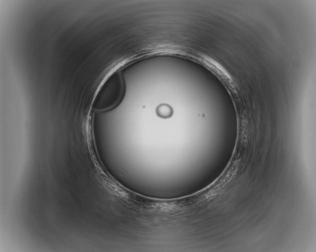 X0000116801190200912241155