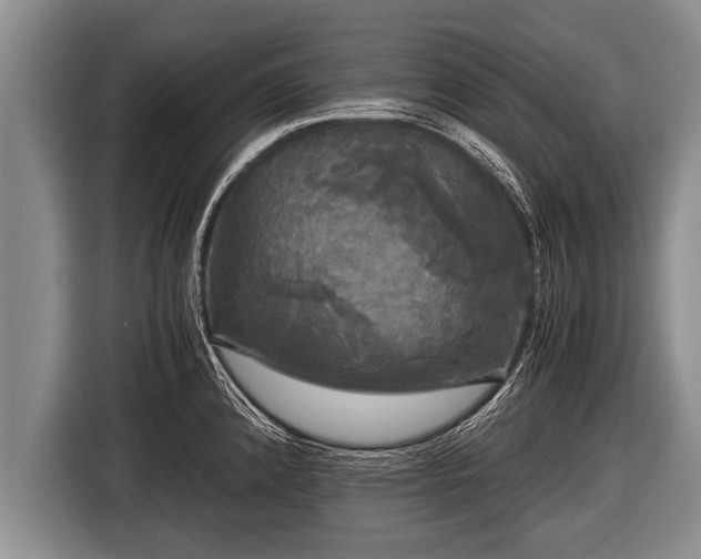 X0000116801192200912241155