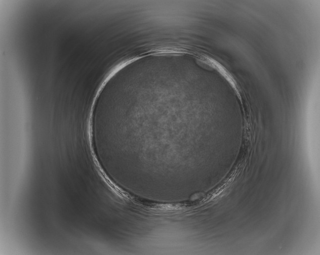 X0000116801195200912241155