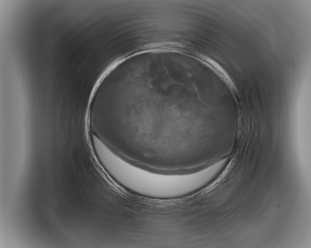 X0000116801196200912241155