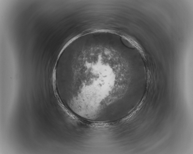 X0000116801198200912241155