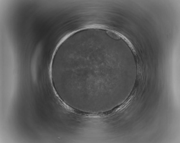 X0000116801199200912241155