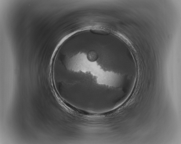 X0000116801200200912241155