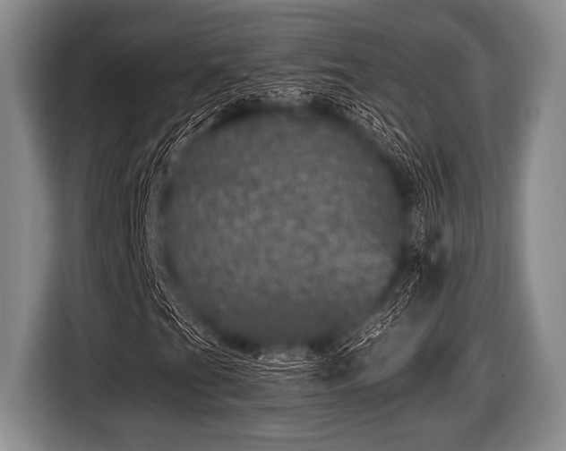 X0000116801201200912241154