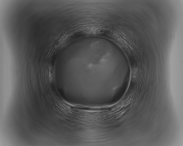 X0000116801202200912241154