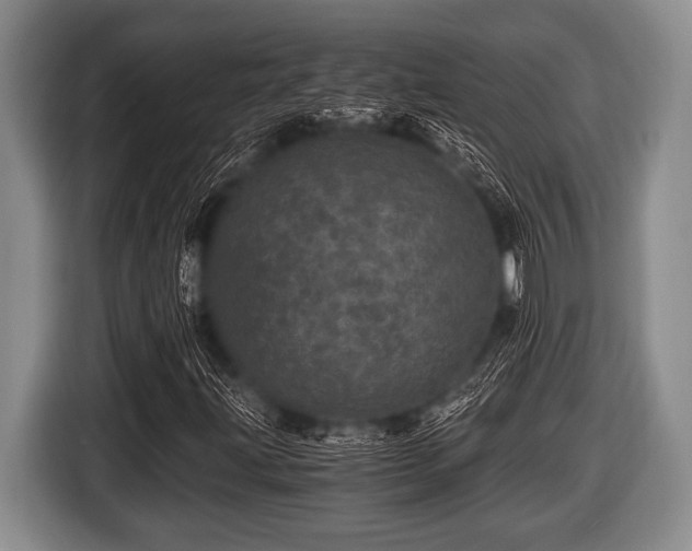 X0000116801203200912241154