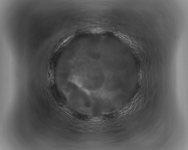 X0000116801205200912241154