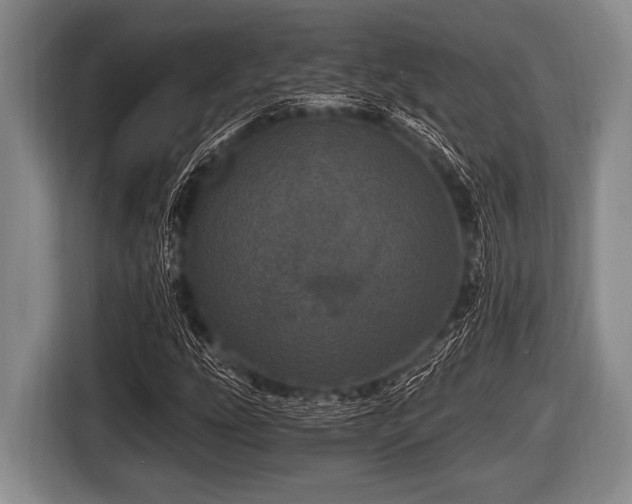 X0000116801207200912241154