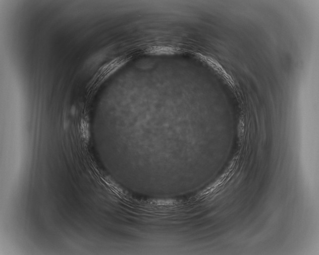 X0000116801209200912241154