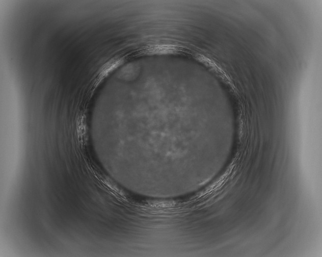 X0000116801210200912241154