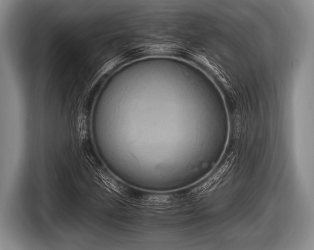 X0000116801211200912241154