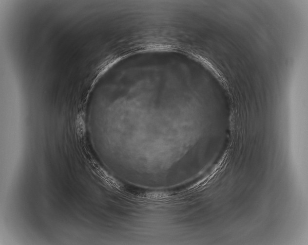 X0000116801212200912241154