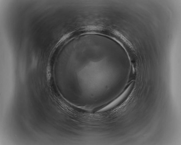 X0000116801213200912241154